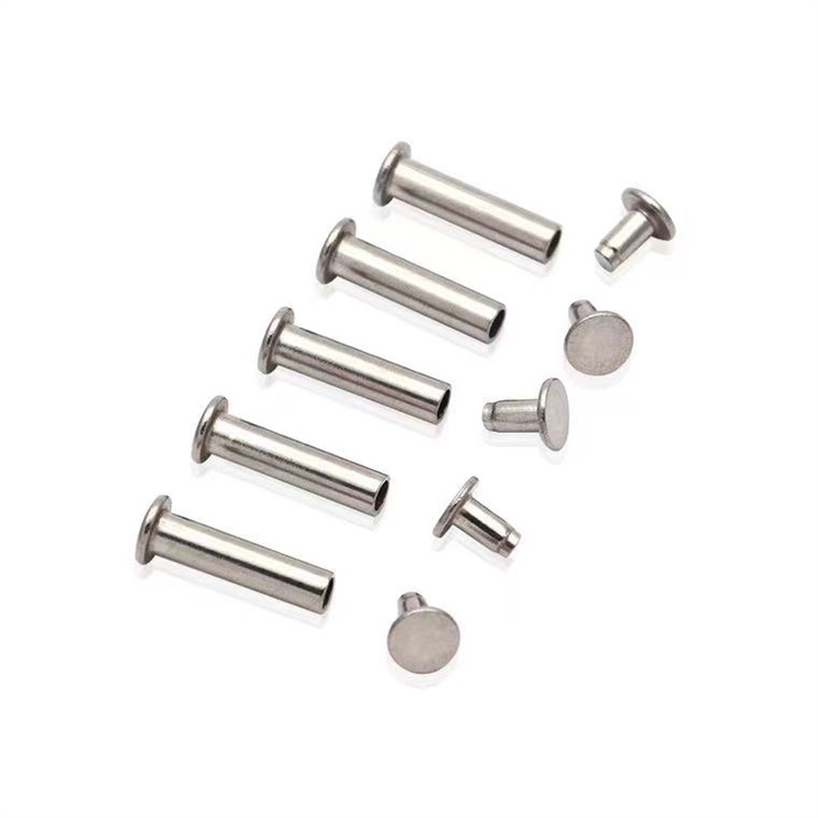 Nickel patella plana capitis m2.5 chicago cochleis ad corium