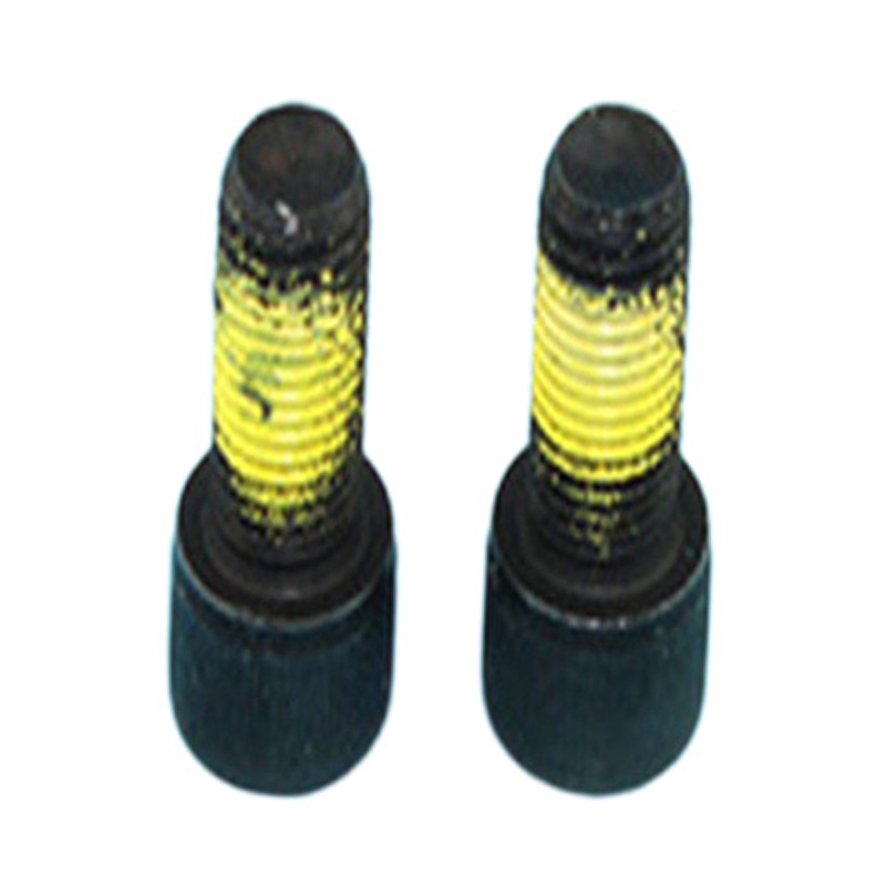 Calix color niger capitis hex nervum cochleae cum nylon patch Calix color niger capitis hex nervum cochleae cum nylon patch