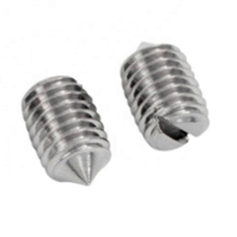 DIN553 304 316 conus immaculatus punctus punctatus pone cochleae DIN553 304 316 conus immaculatus punctus punctatus pone cochleae