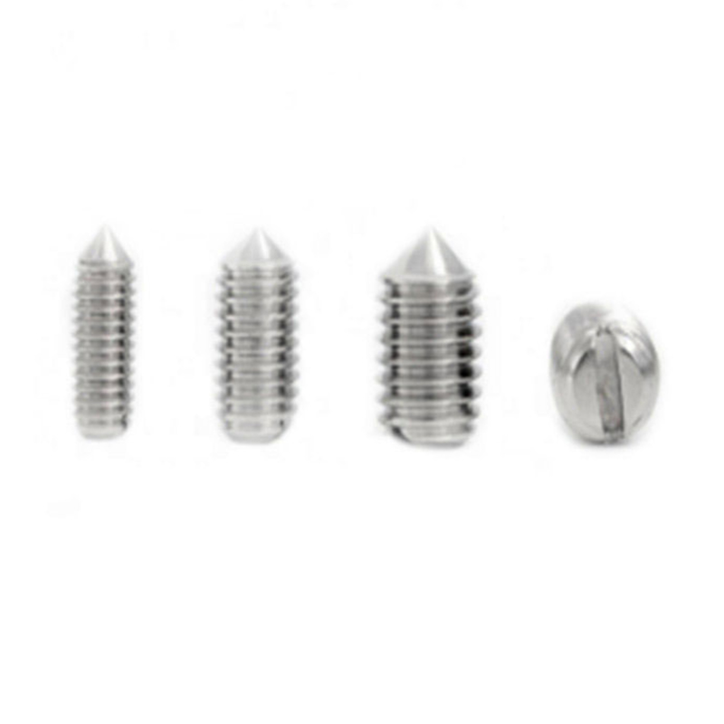 DIN553 304 316 conus immaculatus punctus punctatus pone cochleae DIN553 304 316 conus immaculatus punctus punctatus pone cochleae