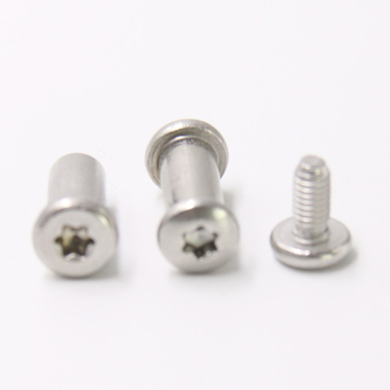 Aliquam ferro m3 torx caput masculus et femina cochlea pro cultro