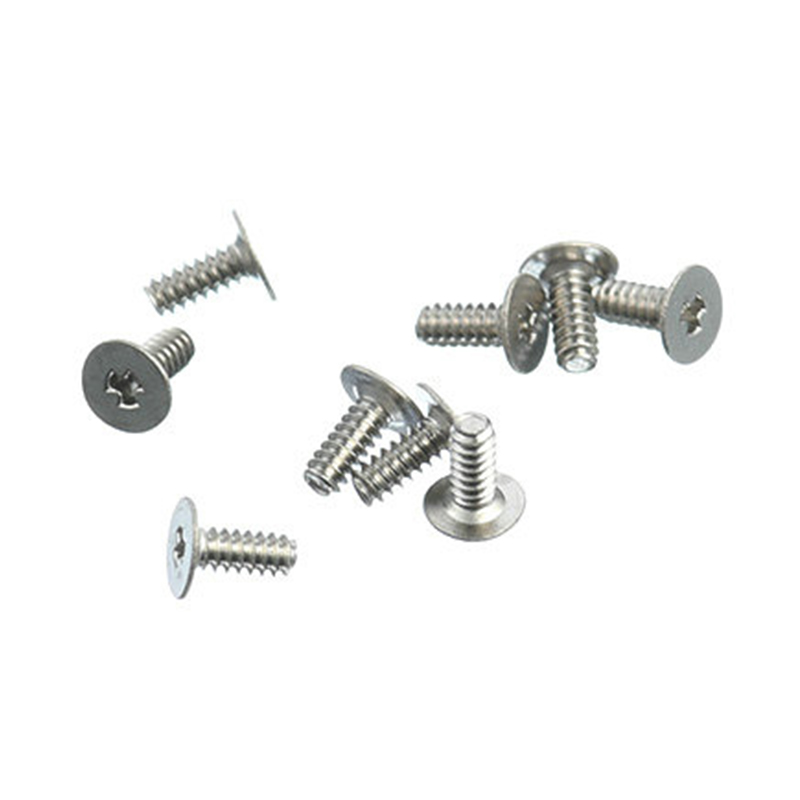 M0.8 M1.0 M1.2 M1.4 M1.7 caput planae Y figura cochleae parvae
