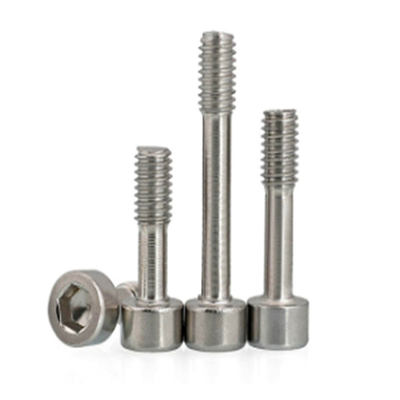 Diver nervus integer tortis caput tabulis captivum cochleae pro machinis