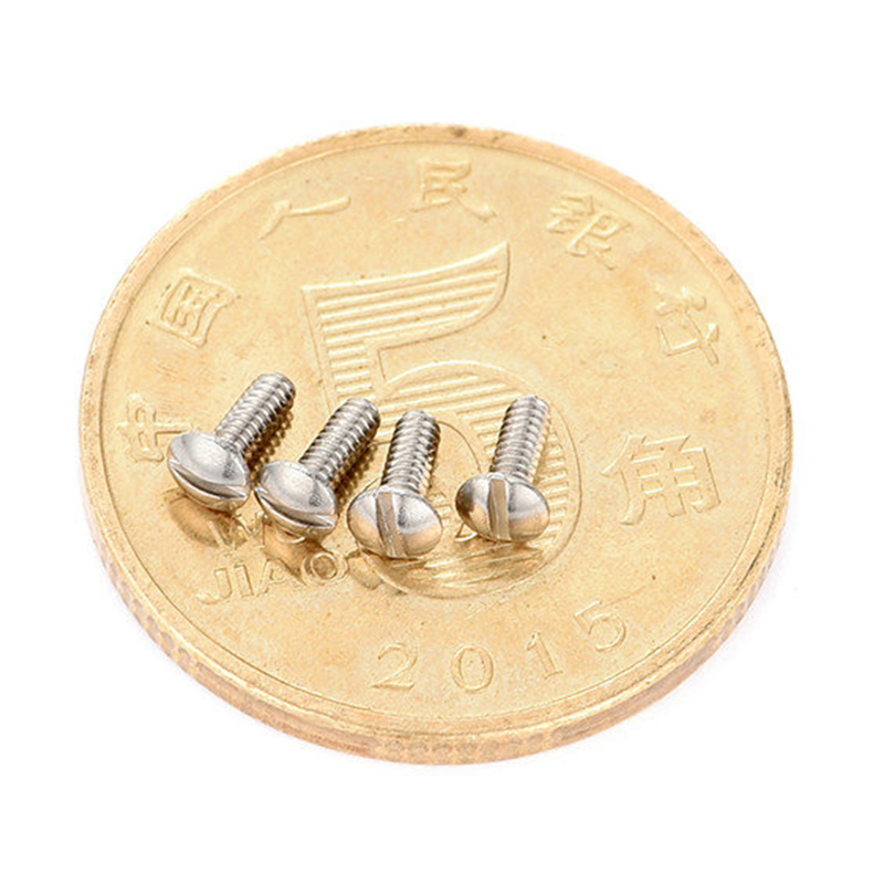 Stainless chalybe round head slotted Micro cochlea Stainless chalybe round head slotted Micro cochlea