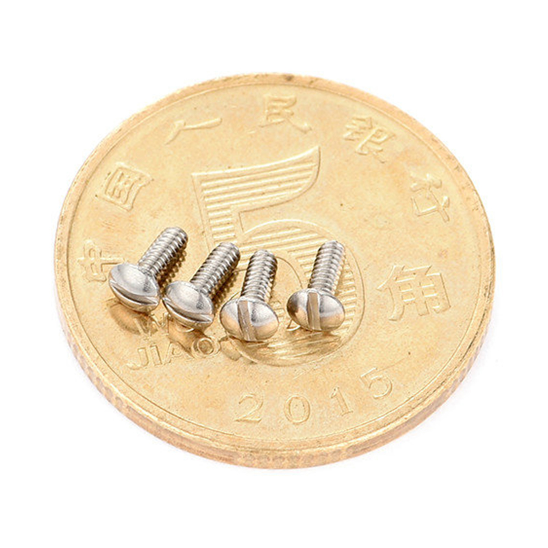 Stainless chalybe round head slotted Micro cochlea Stainless chalybe round head slotted Micro cochlea