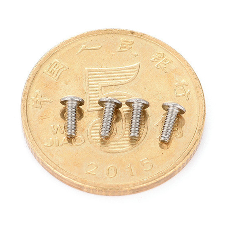 Stainless chalybe round head slotted Micro cochlea Stainless chalybe round head slotted Micro cochlea