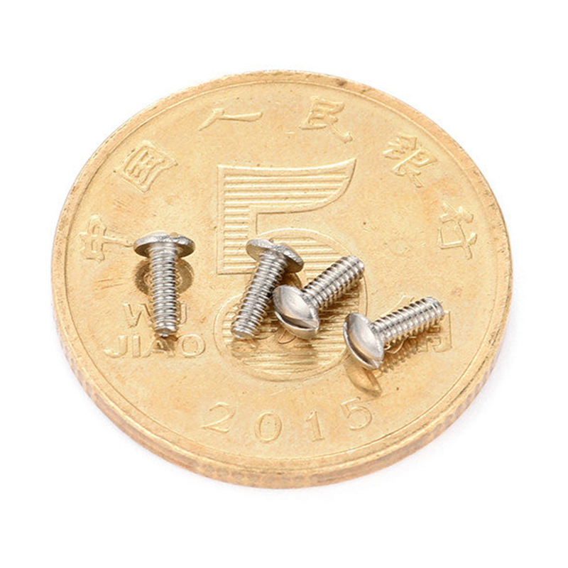 Stainless chalybe round head slotted Micro cochlea Stainless chalybe round head slotted Micro cochlea
