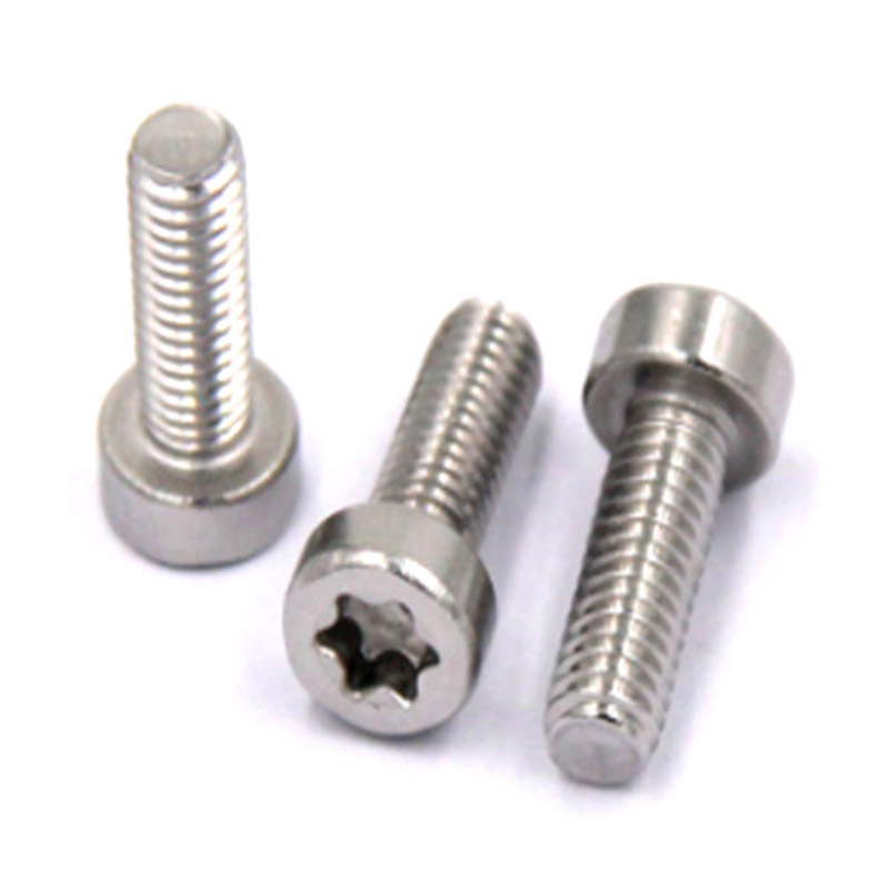 Novum consilium M3 immaculatam chalybem 304 torx calix caput cochleae